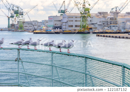 神戶美利堅公園（12月日夜景觀） 122187132