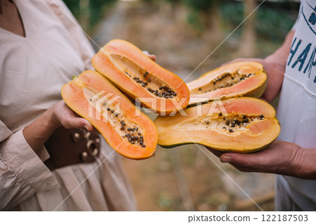 Freshly cut papayas being shared in a tropical farm setting during the afternoon Freshly cut papayas being shared in a tropical farm setting during the afternoon 122187503