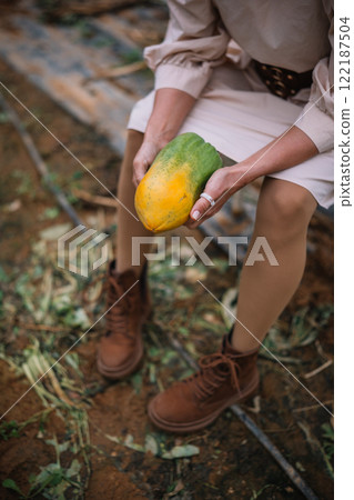 Woman harvesting ripe papaya in a lush garden during daylight hours Woman harvesting ripe papaya in a lush garden during daylight hours 122187504