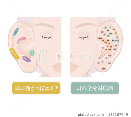 Location of ear acupoints, effective acupoints in the ear, and ear acupoints for the whole body Location of ear acupoints, effective acupoints in the ear, and ear acupoints for the whole body 122187649