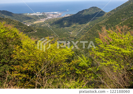 Yakushima, the island where the gods reside, is a place of fresh greenery and young leaves in the offshore Alps 122188060