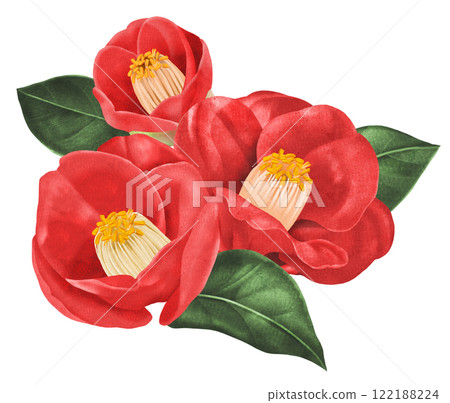 具有模擬風格紋理表達的茶花插圖 具有模擬風格紋理表達的茶花插圖 122188224