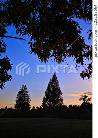 藍天與日落 日落時的夜景 122188664