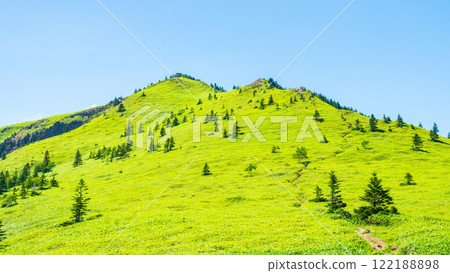夏季登山希雅山、貓山(希雅山、貓山) 夏季登山希雅山、貓山(希雅山、貓山) 122188898