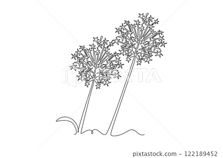 Continuous one line drawing beauty fresh allium globemaster for home art wall decor poster. Decorative giant onion flower concept for greeting card. Single line draw design vector graphic illustration Continuous one line drawing beauty fresh allium globemaster for home art wall decor poster. Decorative giant onion flower concept for greeting card. Single line draw design vector graphic illustration 122189452