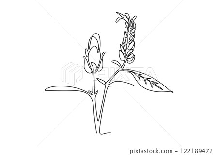 Single one line drawing beauty fresh lollipop plant for home decor wall art poster. Decorative pachystachys lutea for floral card frame. Modern continuous line draw design graphic vector illustration 122189472