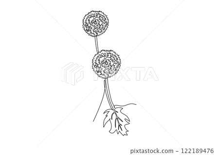 Continuous one line drawing beauty fresh allium giganteum for home decor wall art poster print. Decorative globemaster flower for floral card frame. Single line draw design vector graphic illustration 122189476