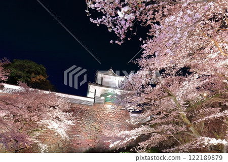 [Ishikawa Prefecture] Cherry blossoms in full bloom at Ishikawa Gate of Kanazawa Castle 122189879