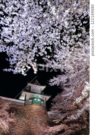 [Ishikawa Prefecture] Cherry blossoms in full bloom at Ishikawa Gate of Kanazawa Castle 122189880