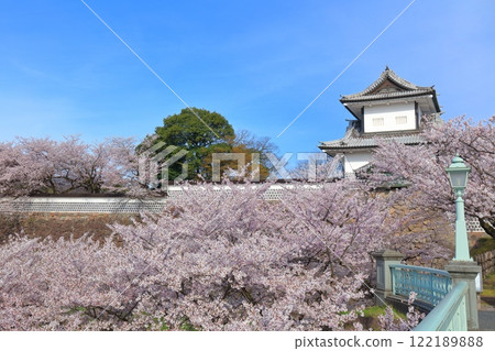 [Ishikawa Prefecture] Kanazawa Castle Ishikawa Gate and cherry blossoms in full bloom on a clear day 122189888