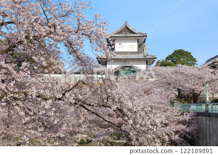 【石川縣】晴天的金澤城、石川門和盛開的櫻花 【石川縣】晴天的金澤城、石川門和盛開的櫻花 122189891