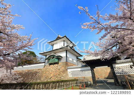 【石川縣】晴天的金澤城、石川門和盛開的櫻花 122189893