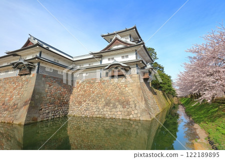 [Ishikawa Prefecture] Kanazawa Castle on a clear day, Hishiyagura turret and cherry blossoms in full bloom 122189895
