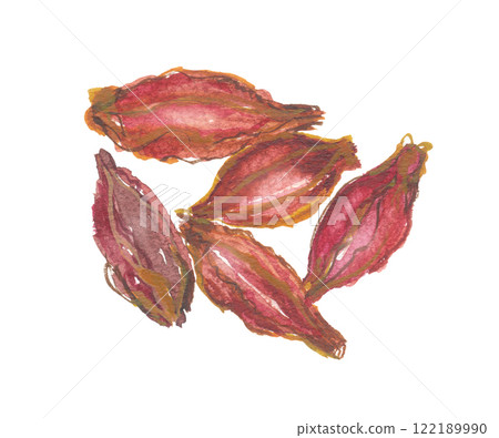 梔子果畫水彩，三石石 122189990