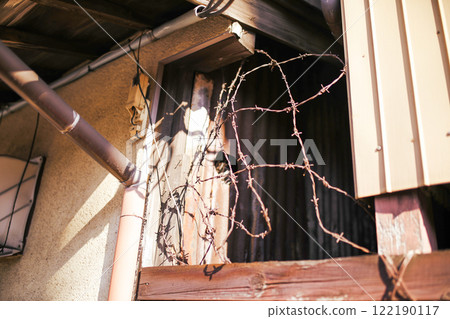 Deteriorated barbed wire 122190117
