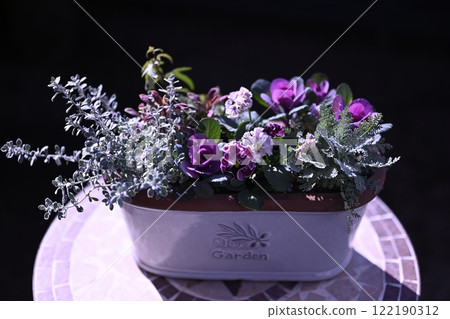 A collection of frilled pansies and leaf peonies A collection of frilled pansies and leaf peonies 122190312