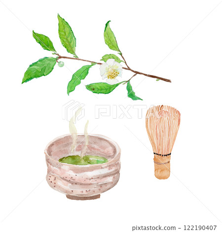 Tea flower and matcha watercolor illustration 122190407