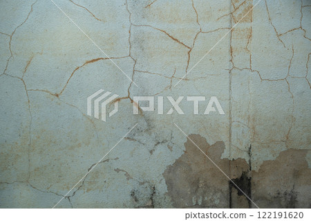 Fungus on the wall after the flood a brick wall with a white paint line 122191620