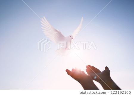 A white dove flying in the bright sunlit sky, symbolizing the Holy Spirit, freedom and peace. 122192100