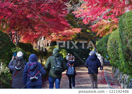 The wonderful scenery of the World Heritage site of Mount Koya - Serpentine Path 122192486