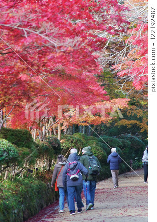 The wonderful scenery of the World Heritage site of Mount Koya - Serpentine Path The wonderful scenery of the World Heritage site of Mount Koya - Serpentine Path 122192487