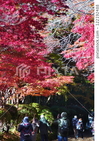 The wonderful scenery of the World Heritage site of Mount Koya - Serpentine Path 122192488