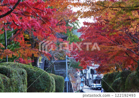 The wonderful scenery of the World Heritage site of Mount Koya - Serpentine Path The wonderful scenery of the World Heritage site of Mount Koya - Serpentine Path 122192493