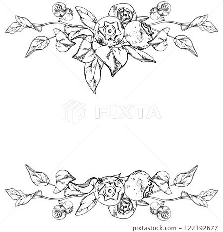 Blueberry blackberry bunch with plant leaves on branch, hand drawn in ink vector, ripe forest berry. Isolated botanical illustration garland frame, for restaurant, cafe menu, wedding, farmers market Blueberry blackberry bunch with plant leaves on branch, hand drawn in ink vector, ripe forest berry. Isolated botanical illustration garland frame, for restaurant, cafe menu, wedding, farmers market 122192677