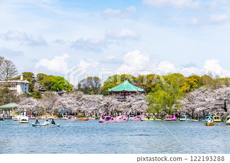 [東京] 上野公園不忍池櫻花盛開 122193288