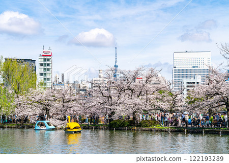 [東京] 上野公園不忍池和東京晴空塔櫻花盛開 122193289