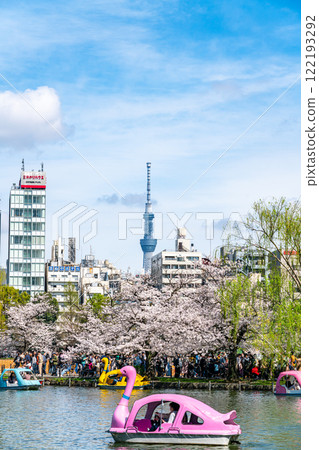 [東京] 上野公園不忍池和東京晴空塔櫻花盛開 122193292