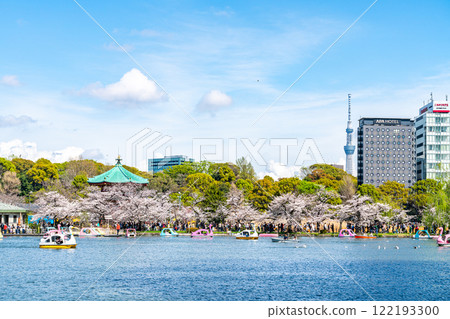 [Tokyo] Cherry blossoms in full bloom at Shinobazu Pond in Ueno Park and Tokyo Skytree 122193300