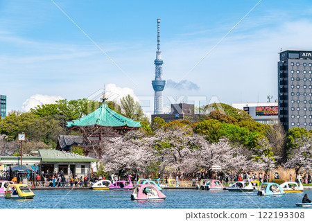 [東京] 上野公園不忍池和東京晴空塔櫻花盛開 122193308