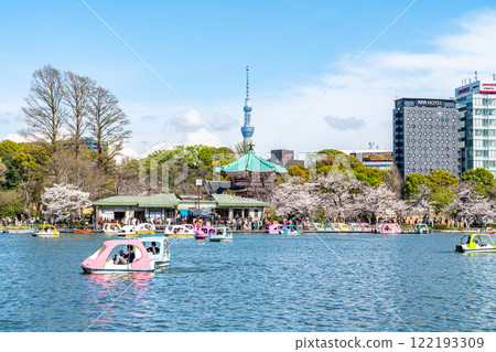 [Tokyo] Cherry blossoms in full bloom at Shinobazu Pond in Ueno Park and Tokyo Skytree 122193309