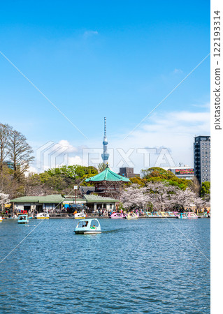 [Tokyo] Cherry blossoms in full bloom at Shinobazu Pond in Ueno Park and Tokyo Skytree 122193314