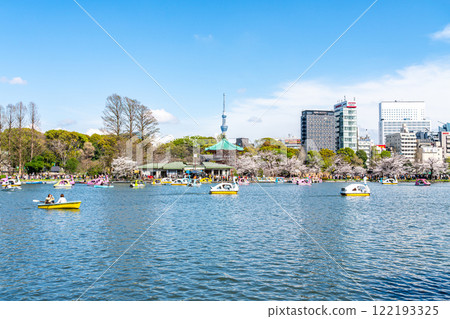 [東京] 上野公園不忍池和東京晴空塔櫻花盛開 122193325