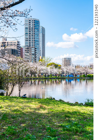 [東京] 上野公園不忍池櫻花盛開 122193340