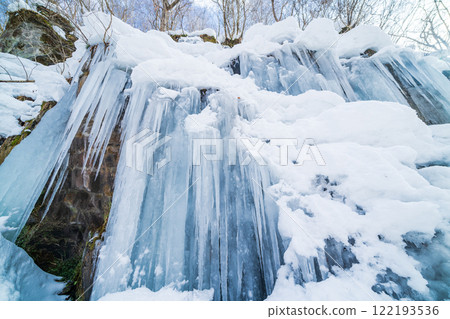 "Aomori Prefecture" The natural beauty of the Oirase Stream's frozen waterfall in winter 122193536