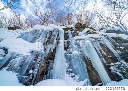 "Aomori Prefecture" The natural beauty of the Oirase Stream's frozen waterfall in winter 122193550