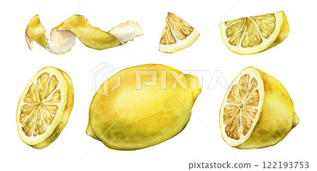 Set of slice and whole lemon, peel or zest of Lemon and isolated on white background. Hand drawn watercolor illustration of yellow tropical citrus Food on white isolated background. Drawing of citrus Set of slice and whole lemon, peel or zest of Lemon and isolated on white background. Hand drawn watercolor illustration of yellow tropical citrus Food on white isolated background. Drawing of citrus 122193753