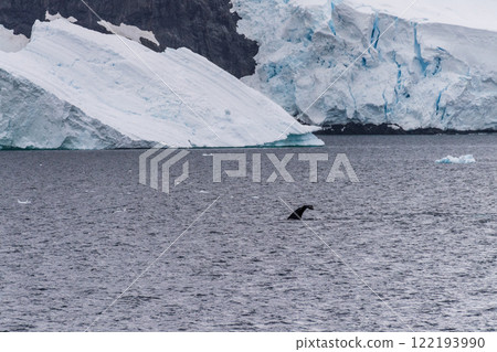 Antarctic landscape with a diving whale Antarctic landscape with a diving whale 122193990