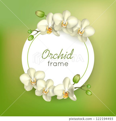 Orchid round frame green background Orchid round frame green background 122194493