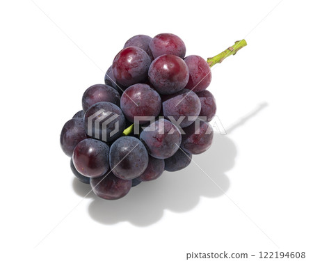 Pione Pione 122194608