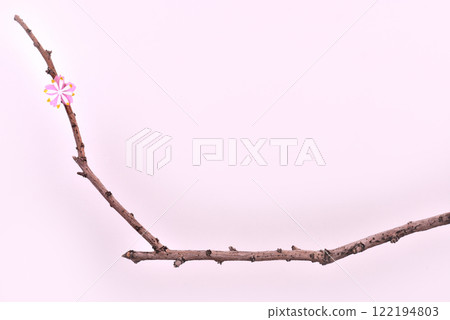 單輪櫻桃樹 單輪櫻桃樹 122194803