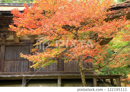 Koto Sanzan Kongorinji Temple Main Hall Daihikaku 122195111