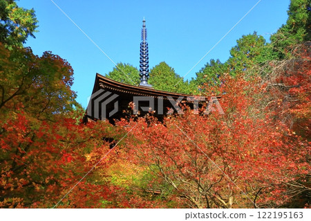 Koto Miyama Gongorinji Temple Triple Tower 122195163