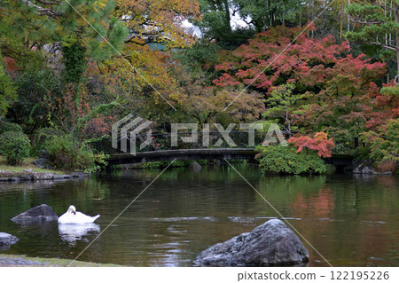 Swan at Ishibashi Cultural Center Swan at Ishibashi Cultural Center 122195226