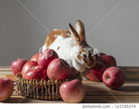 迷你霸王龍和蘋果 122195254