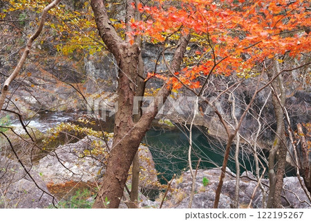 秋葉環繞的日光市龍王峽、青龍峽深處 秋葉環繞的日光市龍王峽、青龍峽深處 122195267