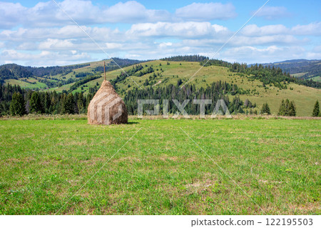 Rolling hills and a solitary haystack under a brilliant blue sky 122195503